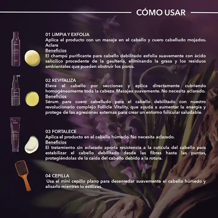 Tierra de Ideas